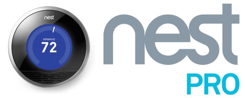 Nest перевод